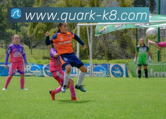 凯发娱乐服务体系